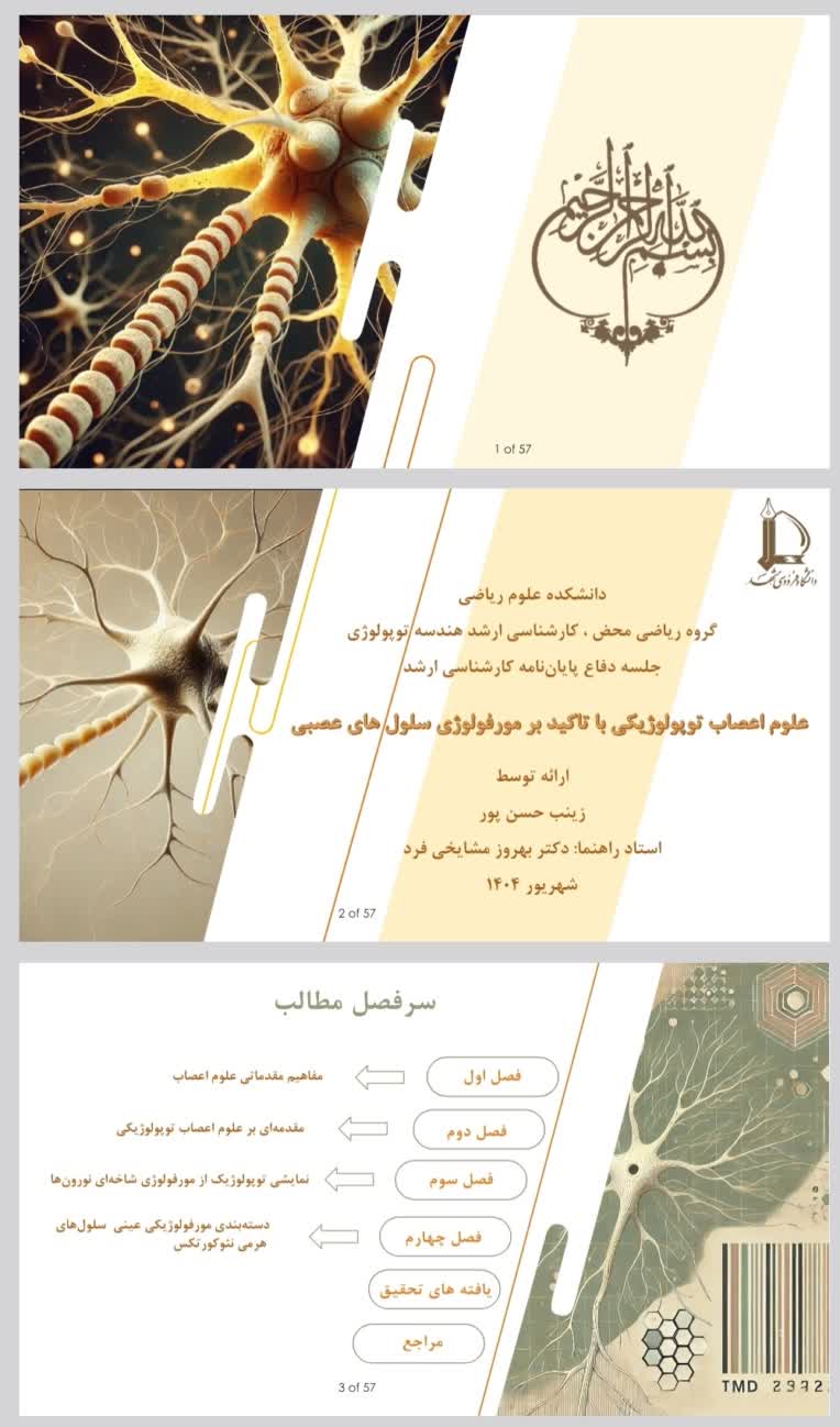 پاورپوینت ارائه پایان‌نامه حوزه علوم اعصاب