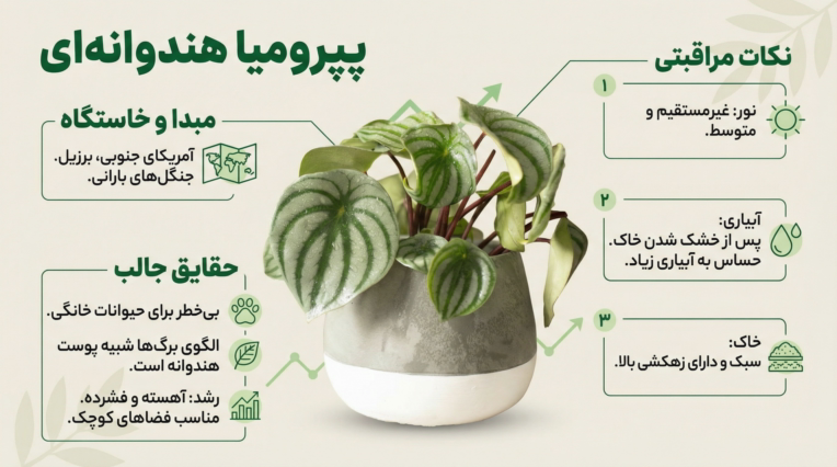 طراحی اینفوگرافیک مدرن و مینیمال برای انتقال محتوا