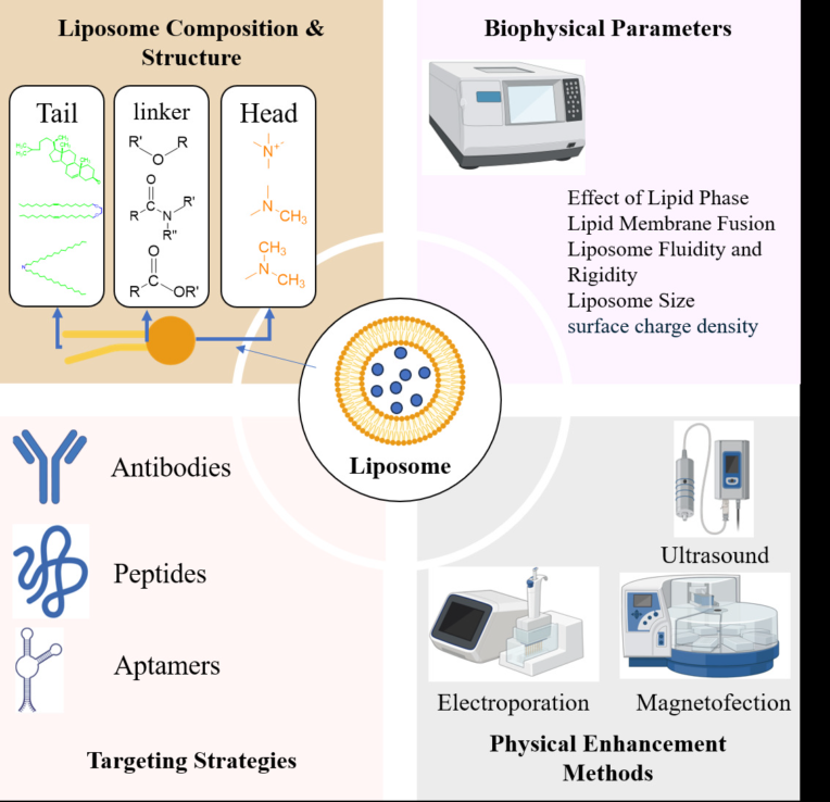 طراحی خلاصه گرافیکی و عکس های مقاله شما Graphical Abstract