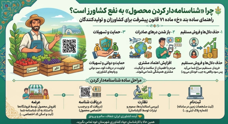 اینوفگرافیک جذاب بند خ قانون توسعه
