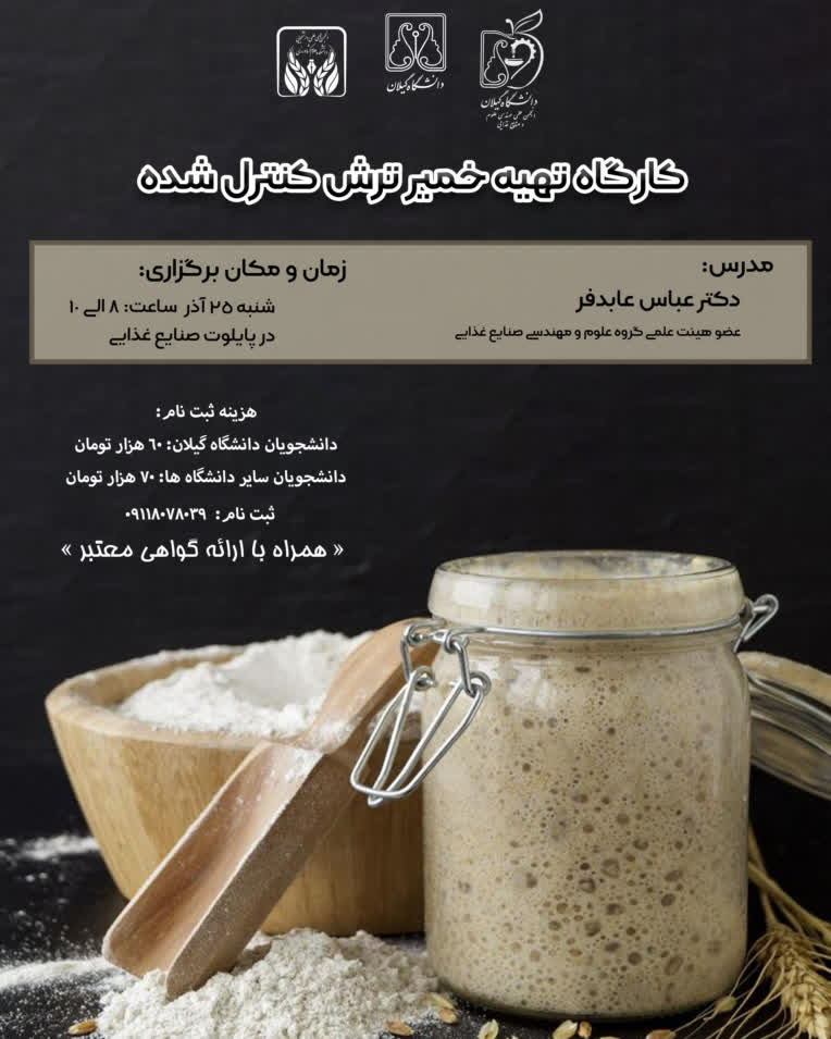طراحی مجموعه پوستر کارگاه های کار آفرینی (ورق بزنید) قسمت سوم