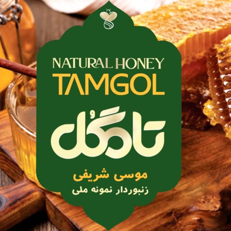طراحی لوگومتناسب با هویت شخصی برند شرکت تامگل