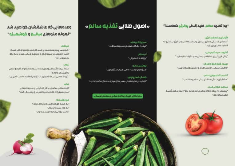طراحی بروشور سه صفحه ای یه صورت تخصصی .