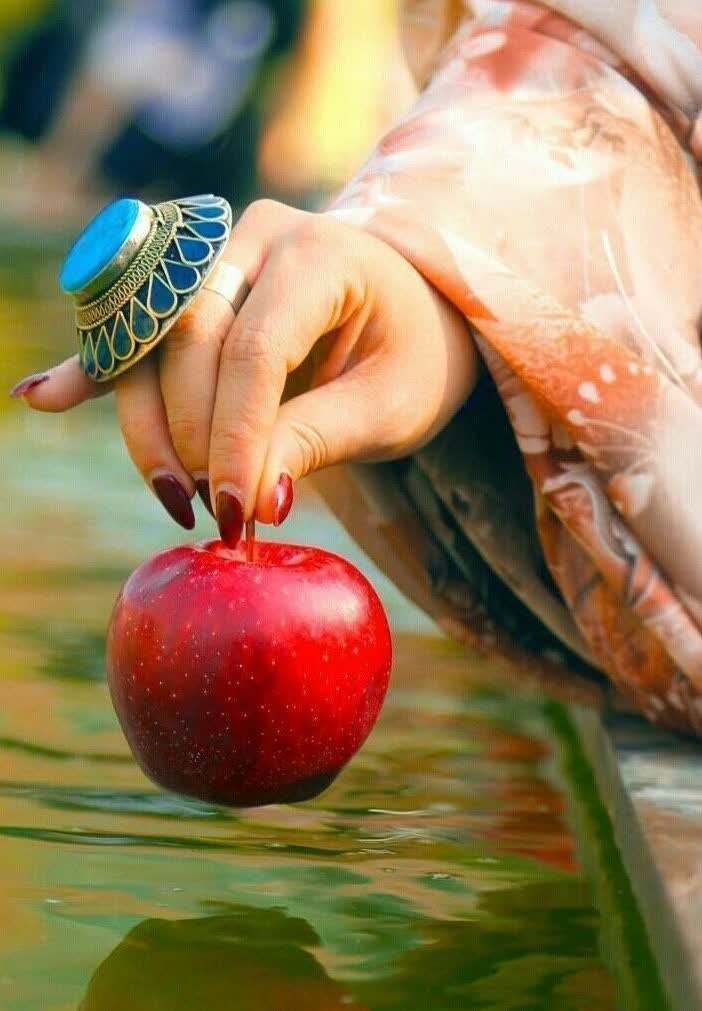 وبلاگ جزیره هرمز کجاست؟ سفر به هرمز