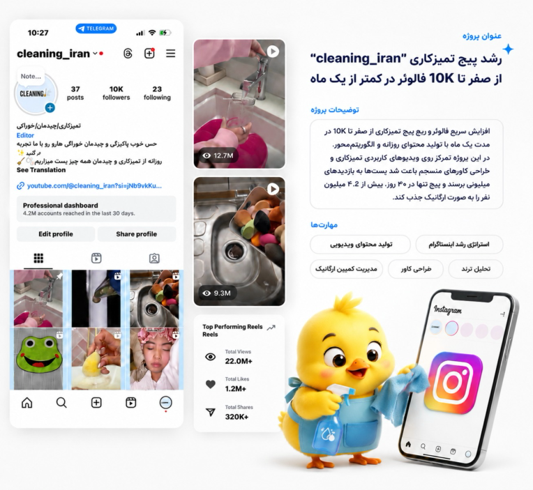 رشد پیج ویدیوهای تمیزکاری از صفر تا ۱۰ هزار فالوور در ۱ ماه