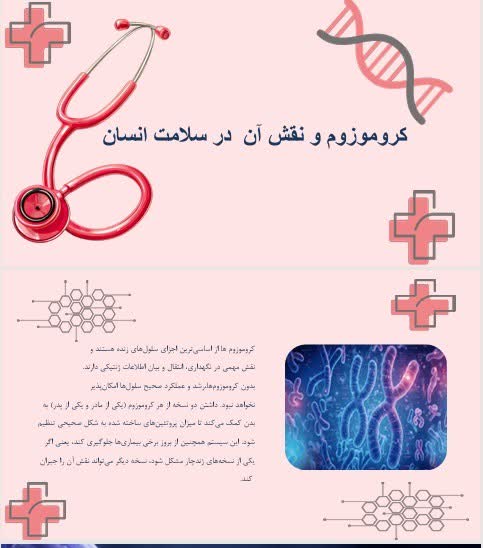 کروموزوم ها و نقش آن در سلامت انسان