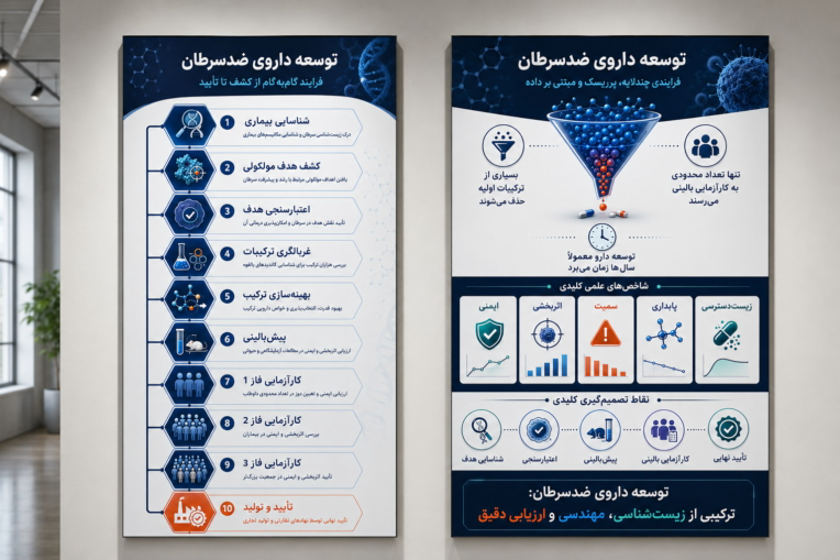 طراحی فلوچارت و اینفوگرافی توسعه دارو