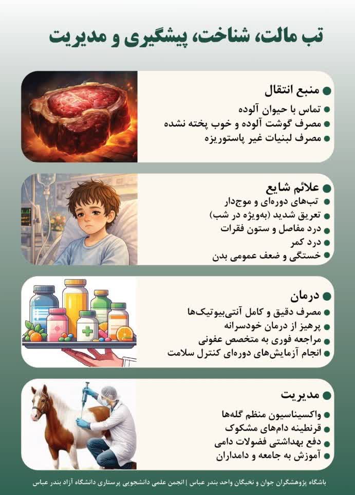طراحی پوستر تب مالت باشگاه پژوهشگران