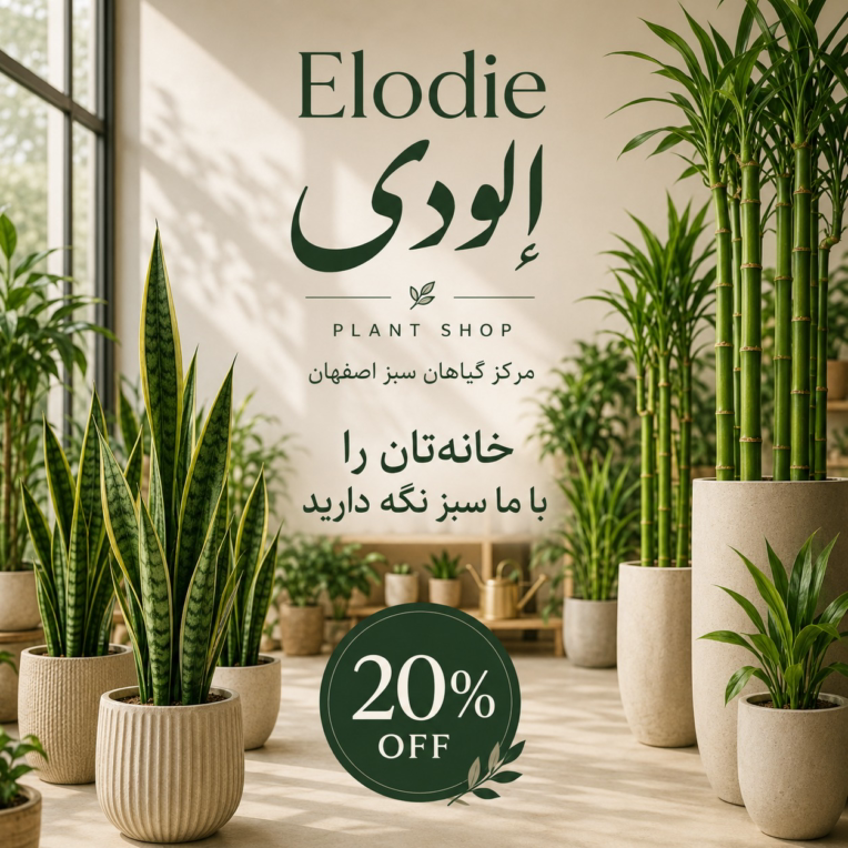 طراحی بنر و پوستر حرفه ای با AI