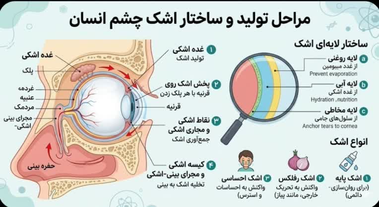 طراحی یک تصویر اینفو گرافیک حرفه ای