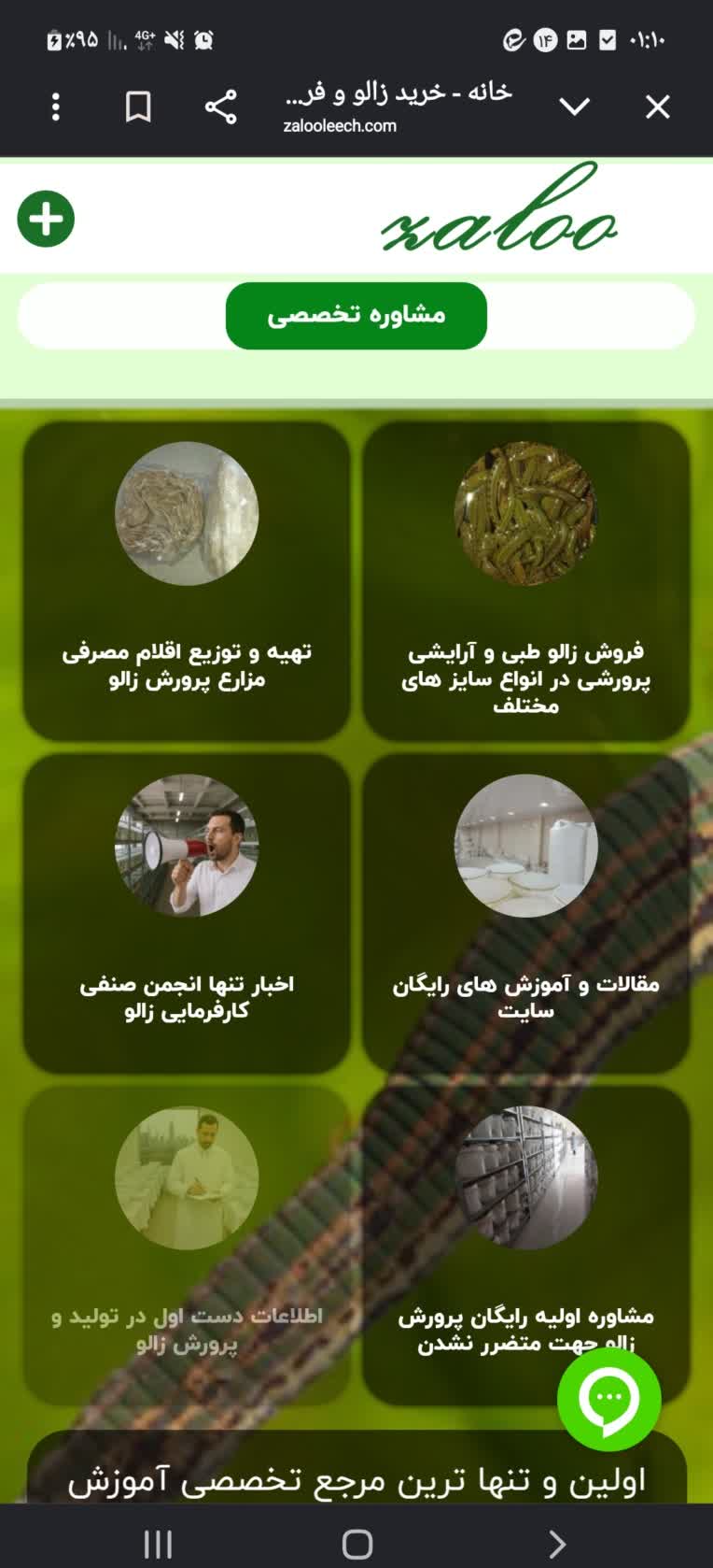 طراحی و سئو سایت زالو لیچ همراه با پشتیبانی