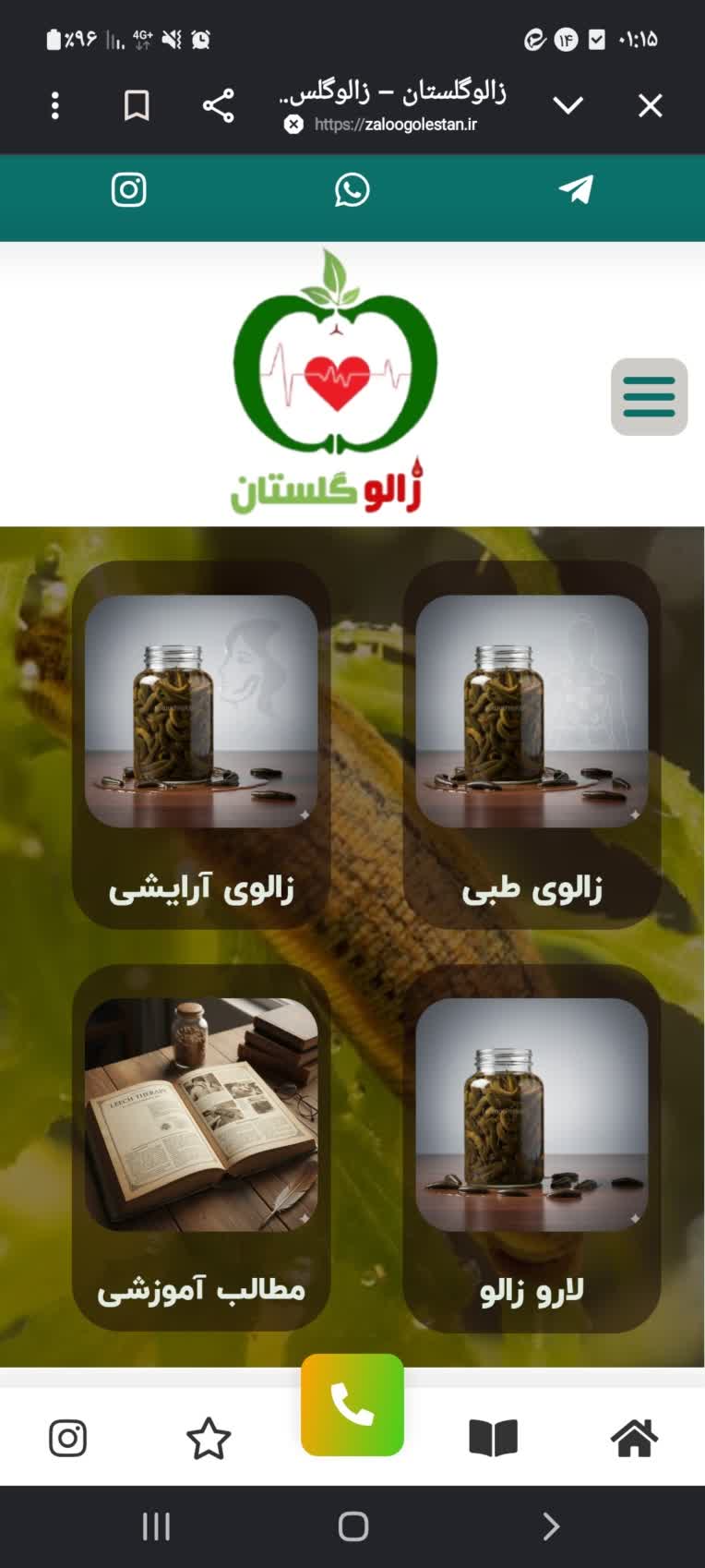 طراحی سایت فروش زالو(المنتوری)