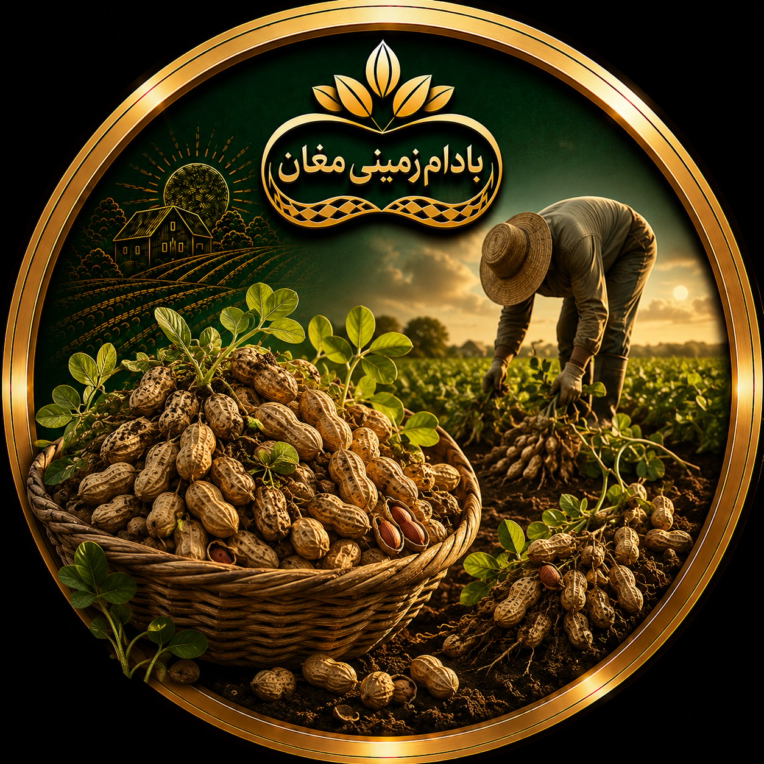 طراحی کاور هایلایت اینستاگرام برند بادام زمینی مغان