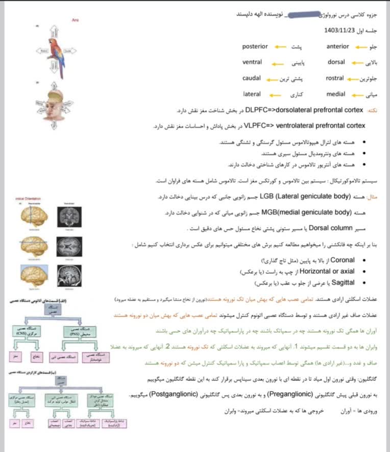 خاصه نویسی و تایپ جزوه دانشگاهی