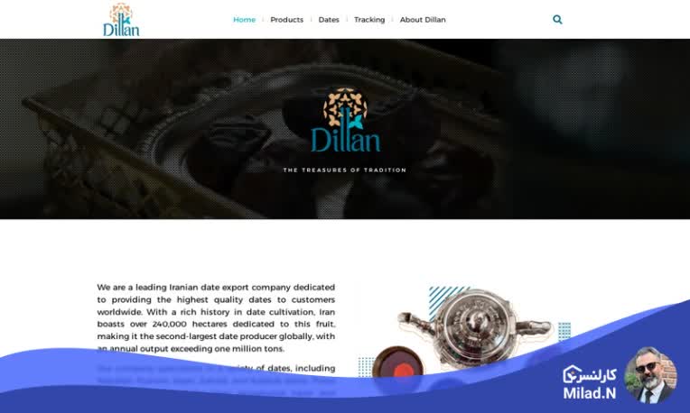 طراحی وبسایت انگلیسی زبان Dillanco.com - وبسایت شرکتی با رویکرد معرفی محصولات و خدمات