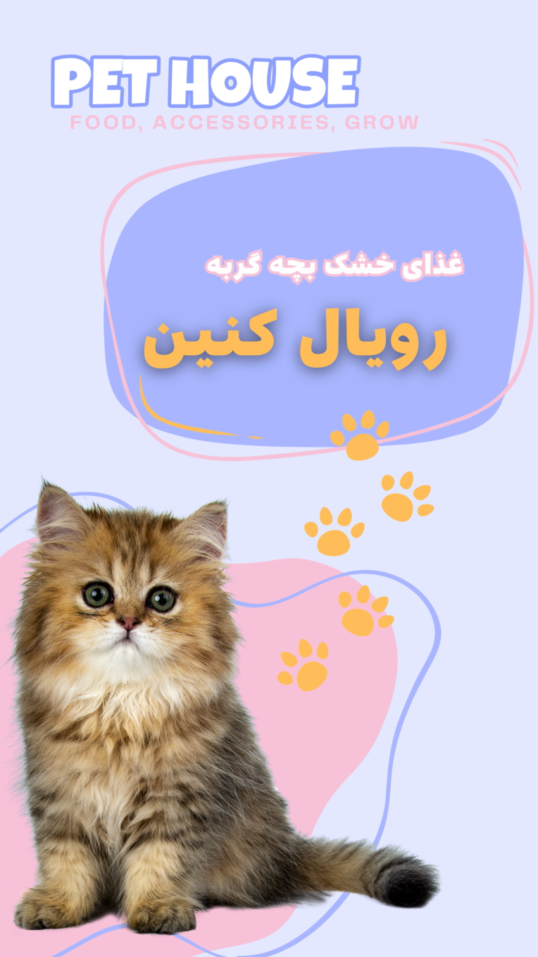 بنر تبلیغاتی برای فروشگاه پت هاوس