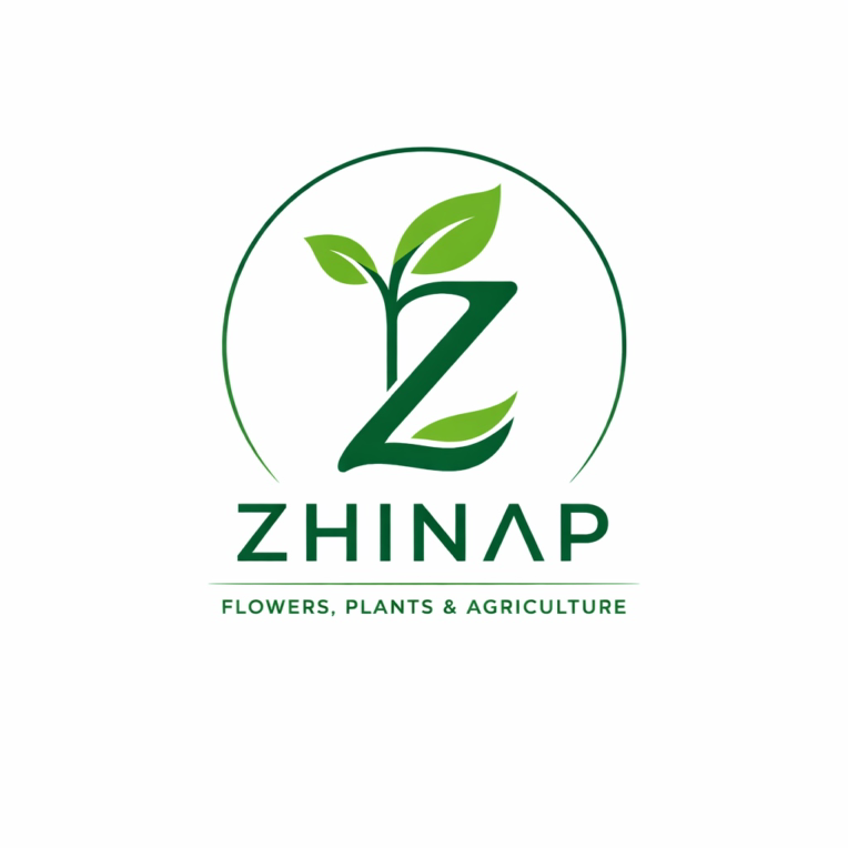 طراحی لوگو و هویت بصری برند ZHINAP | حوزه گل و گیاه و کشاورز