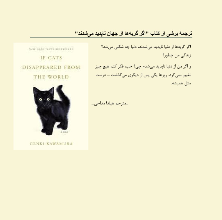 ترجمه انگلیسی به فارسی برشی از یک رمان