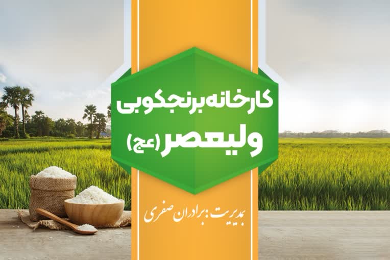 طراحی کارت ویزیت دورو (Business Card) کارخانه برنج‌کوبی ولیعصر (عج)