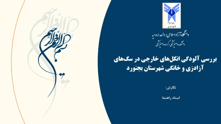 نمونه پاورپوینت جلسه دفاع دکترا