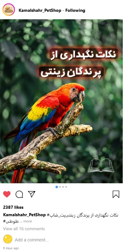 طراحی پست اسلایدی و کاور پست اینستاگرام
