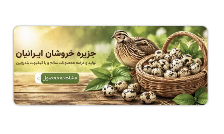 طراحی بنر تبلیغاتی سایت برای برند محصولات تخم بلدرچین