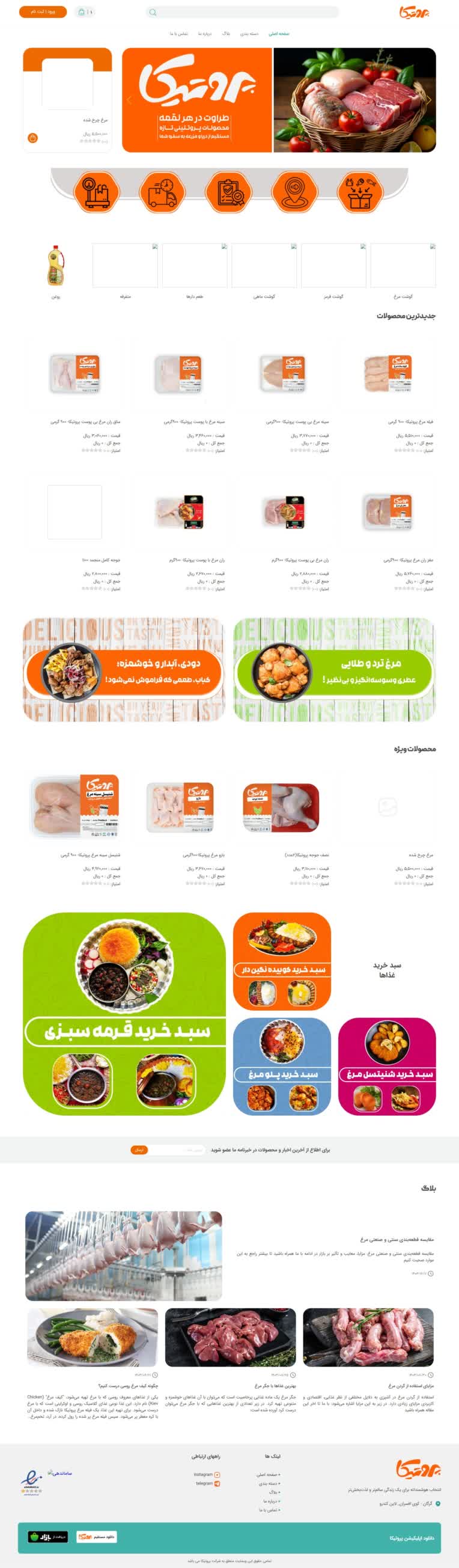 طراحی و توسعه فروشگاه اینترنتی پروتیکا