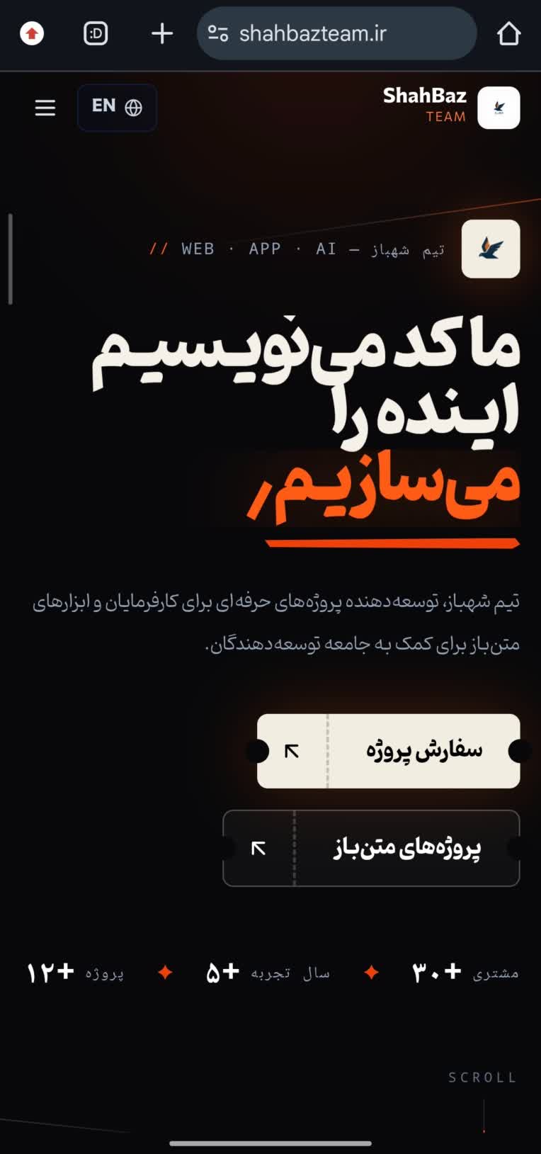 طراحی و توسعه وب سایت تیم شهباز