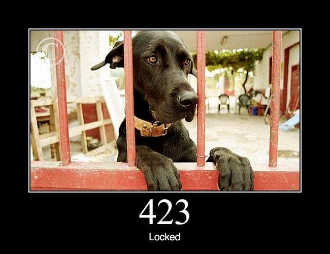 کدهای وضعیت 423