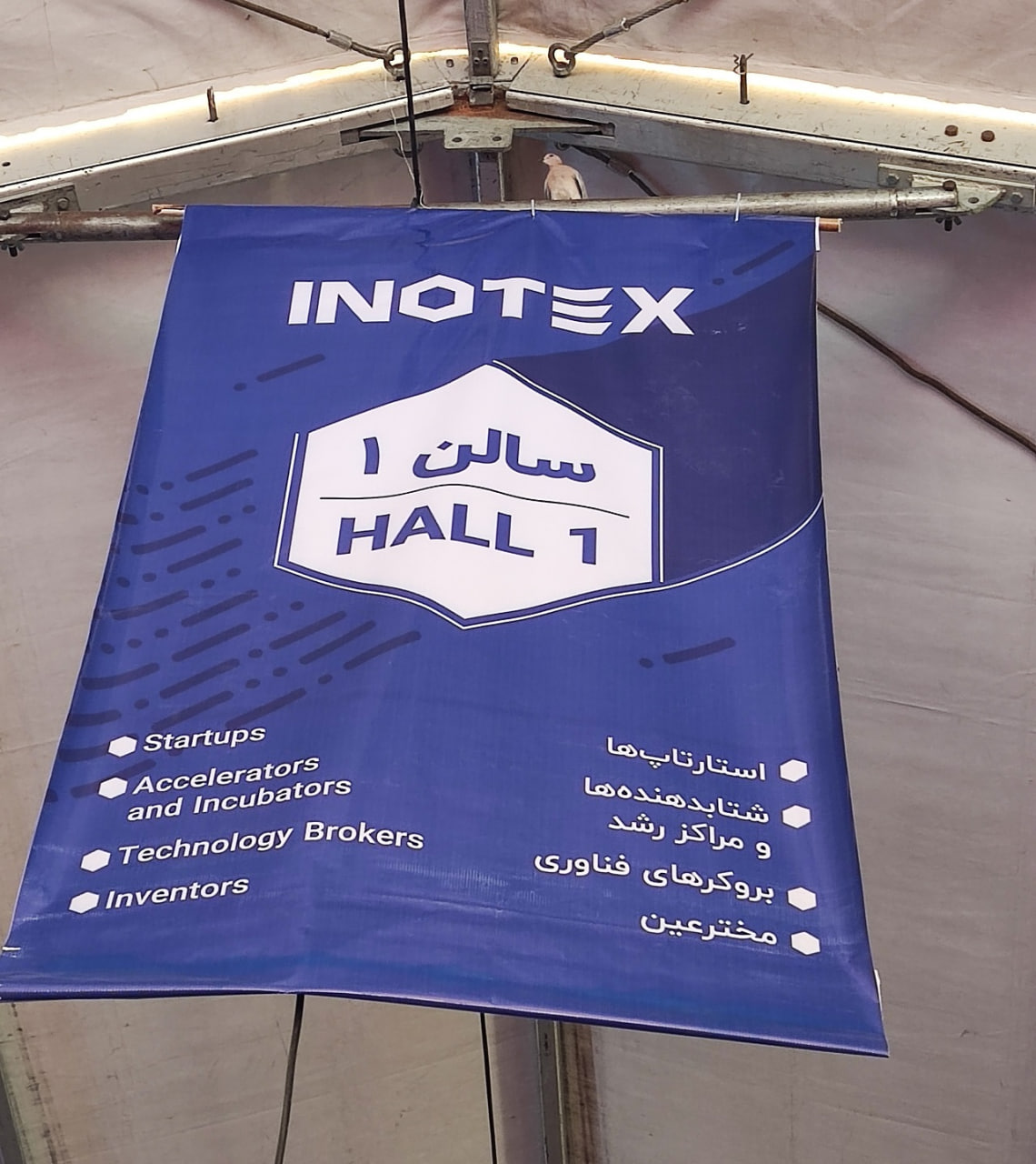 کارلنسر در اینوتکس