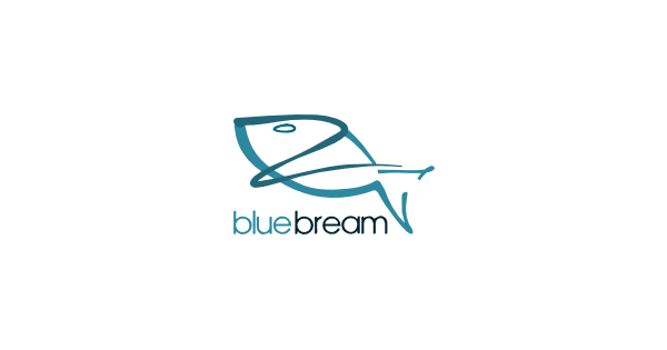 فریم ورک bluebream