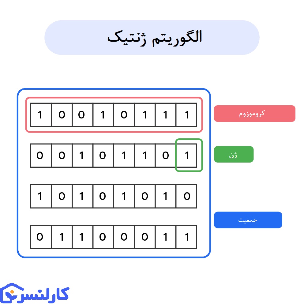 مفاهیم ژنتیک