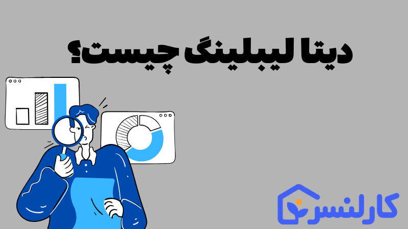 دیتا لیبلینگ چیست