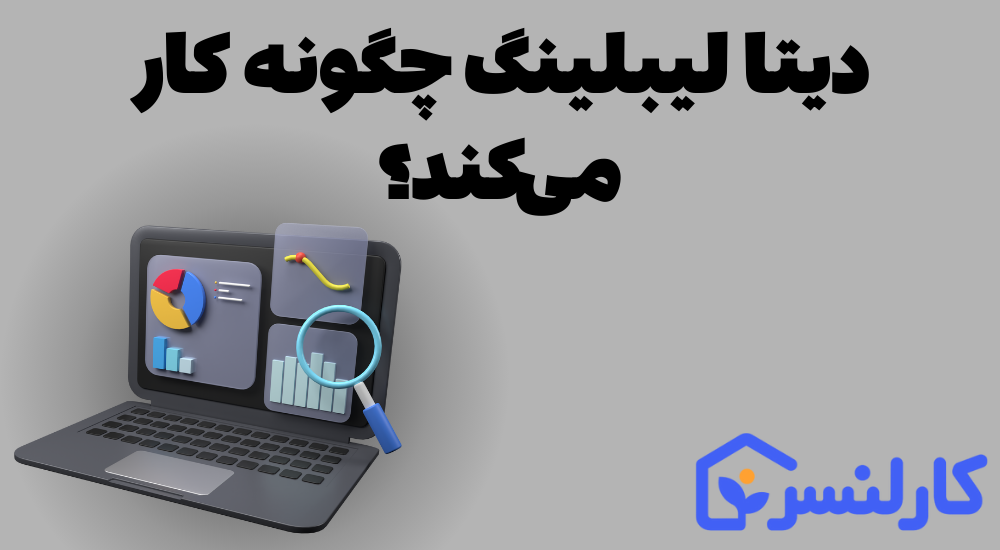 دیتا لیبلینگ چگونه کار می کند؟