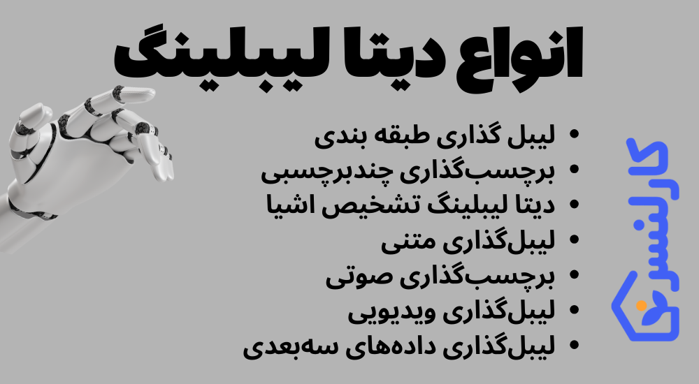 انواع دیتا لیبلینگ