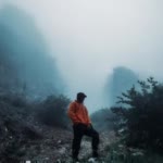 Ali.F
