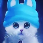 Mehrshad.J