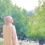 Fateme.K