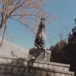 Moxamadreza