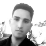 Hamed.J