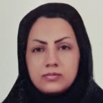 Somayeh.M