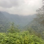 Paniz.M