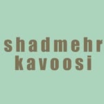 Shadmehr.K