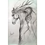 Sara.M