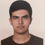 AmirHossein.L