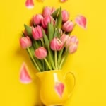 Nasim.R