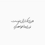 Mandana.N