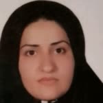 Elham.D