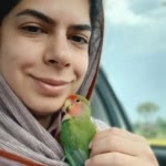 Elham.R