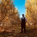 Yasin.T